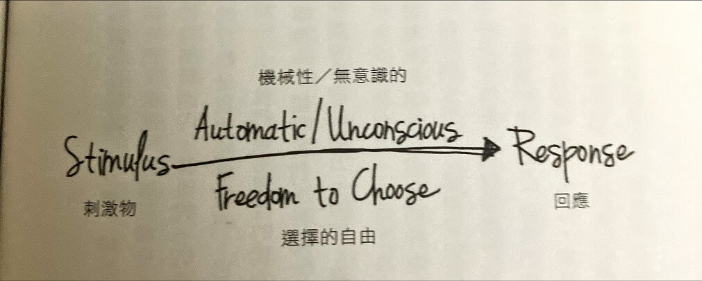 選擇的自由